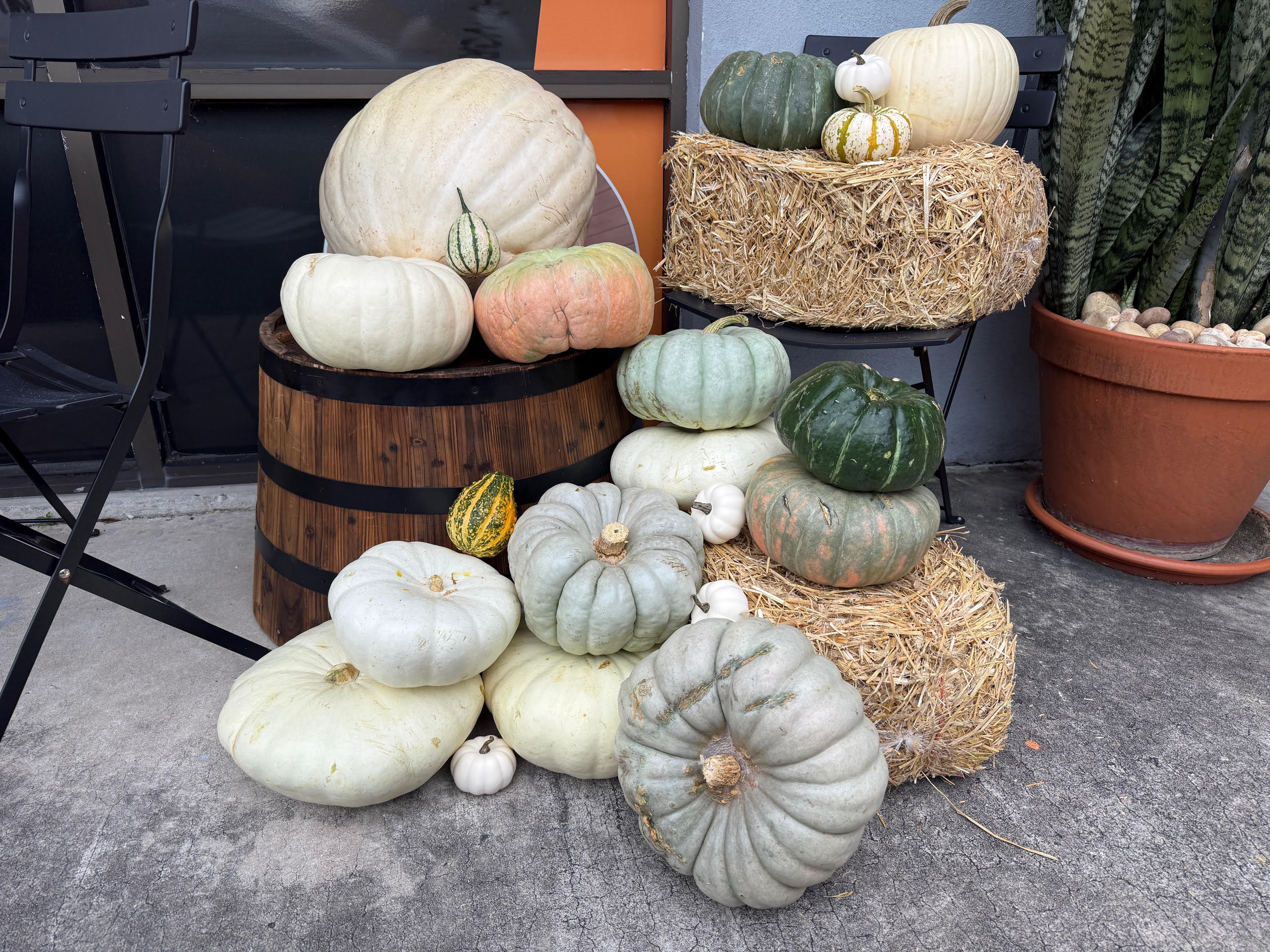 Full commercial storefront install with cornstalks, hay bales, wooden barrel, and mixed pumpkins