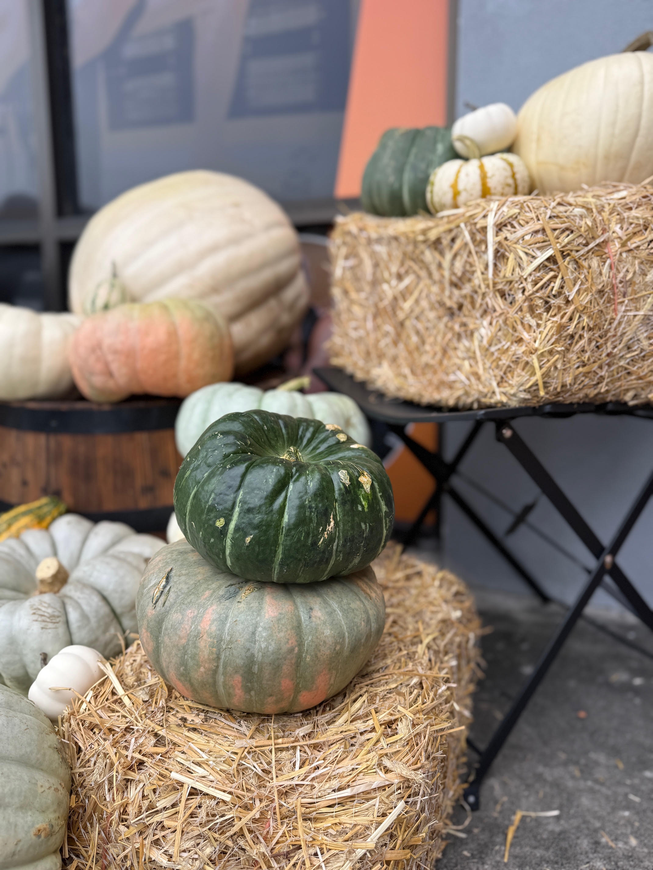 Hay bale styled with a mix of orange and heirloom pumpkins